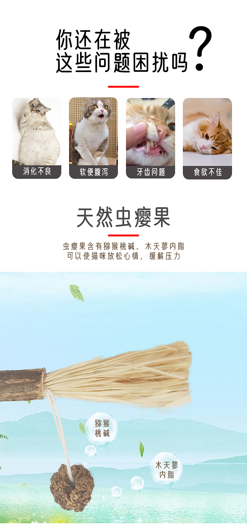 寵物(wù)用(yòng)品,貓薄荷球,貓玩具